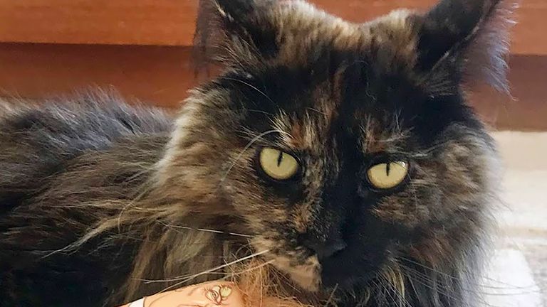 Mittens.
Pic:Margo Neas/AP