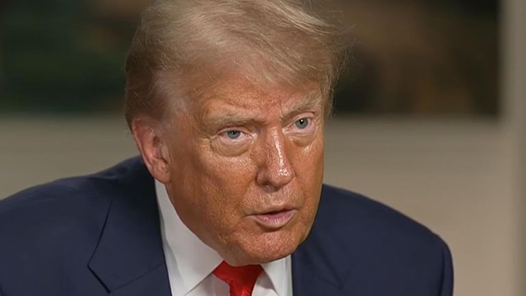 Donald Trump says ‘very wealthy group’ has agreed to buy TikTok in the US | US News