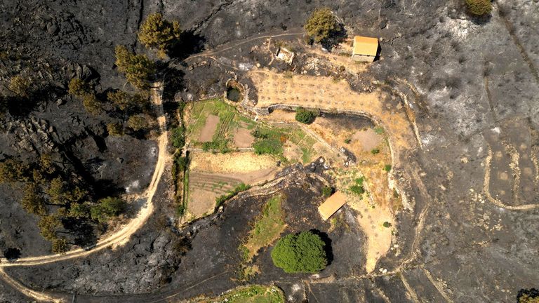 Millions of people threatened by wildfires near their homes, research finds | Science, Climate & Tech News