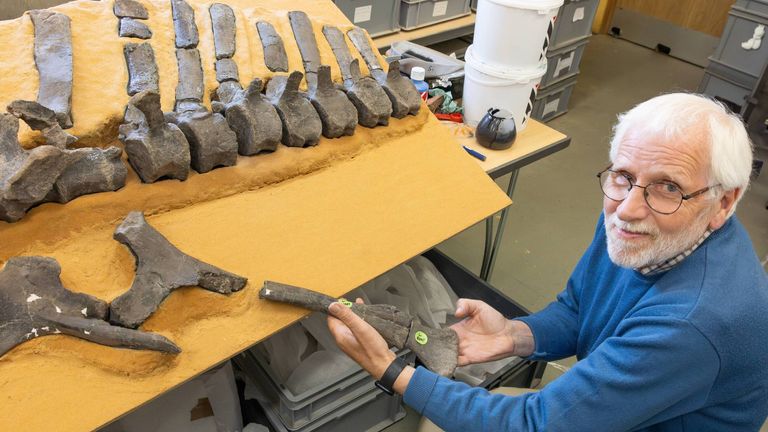 New dinosaur named after record-breaking yachtswoman | Science, Climate & Tech News