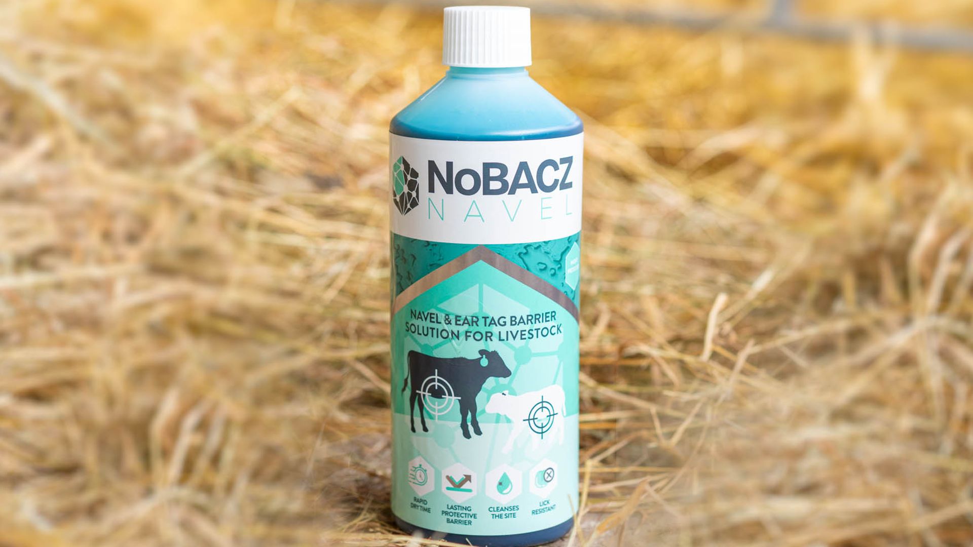 Cambridge animal woundcare spinout NoBACZ lands £5m injection | Money News