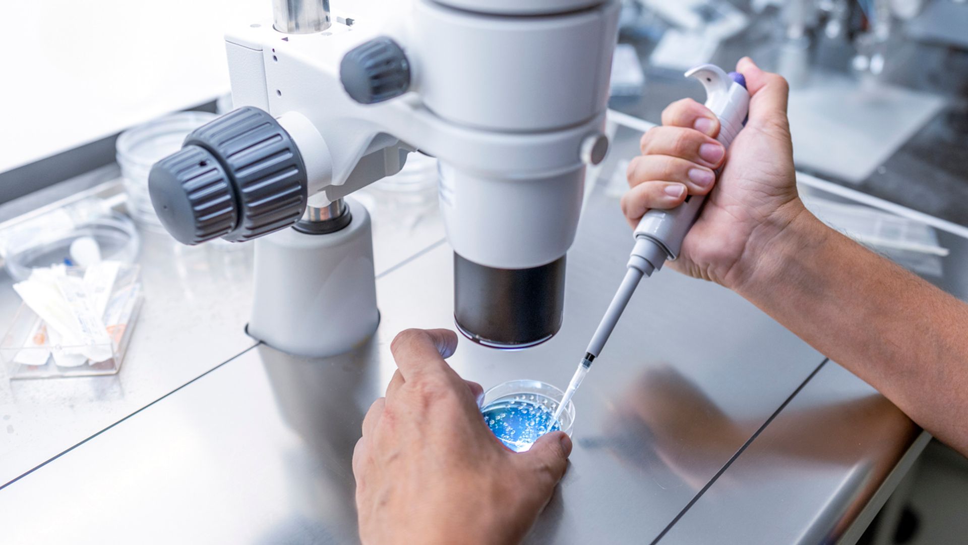 Eggs fertilised with material from human skin cells for first time | Science, Climate & Tech News