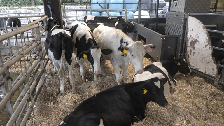 Reflecting sunlight into space could ‘buy time’ against global warming – but experts warn of ‘rogue nations’ risk | Science, Climate & Tech News